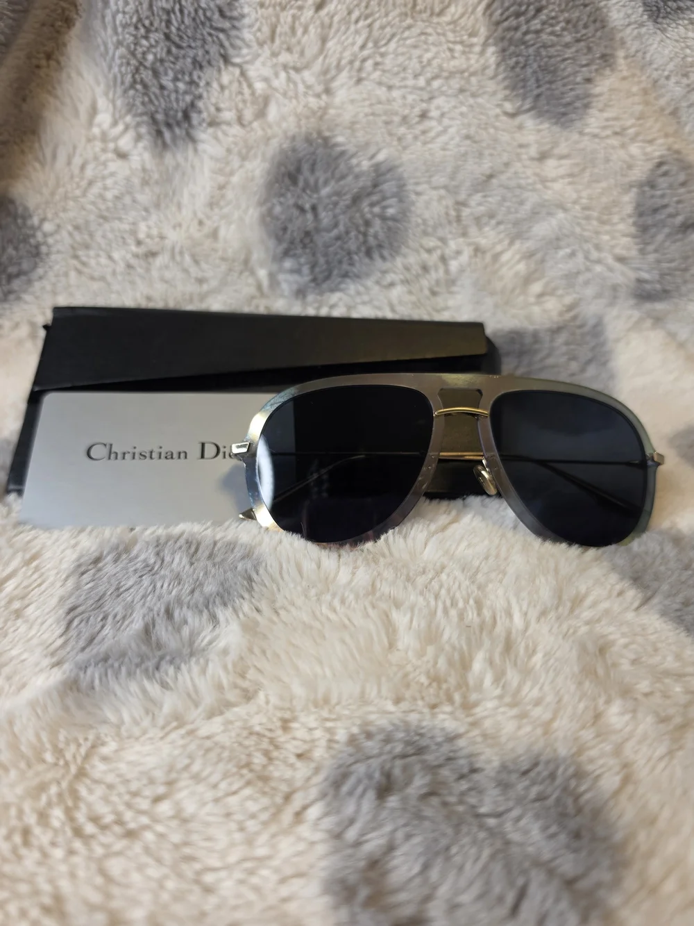 Dior Unisex Silver Aviator Sunglasses - Silver/Blue